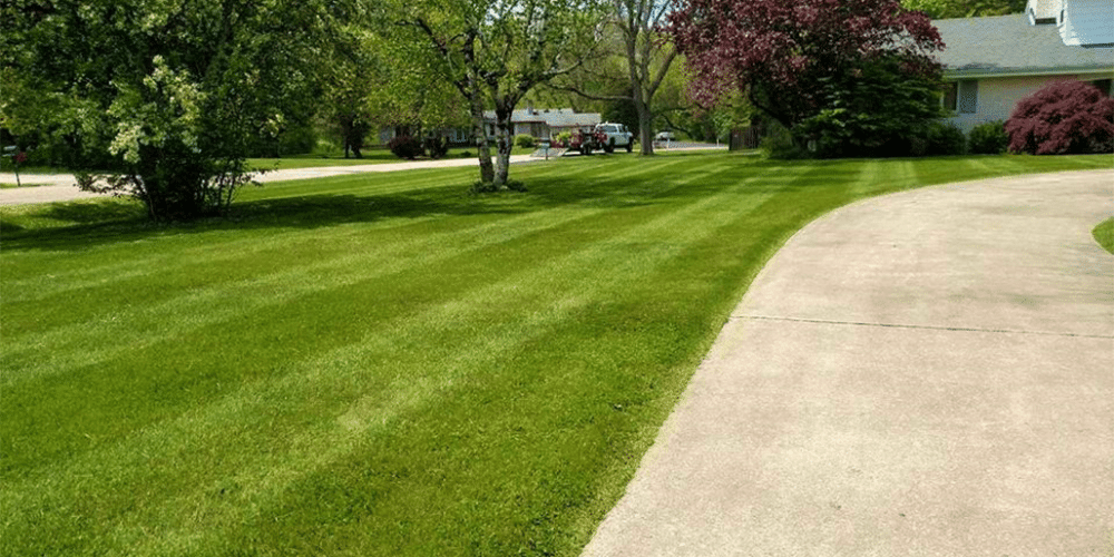lawn maintenance in Racine, Racine lawn maintenance, lawn maintenance Racine